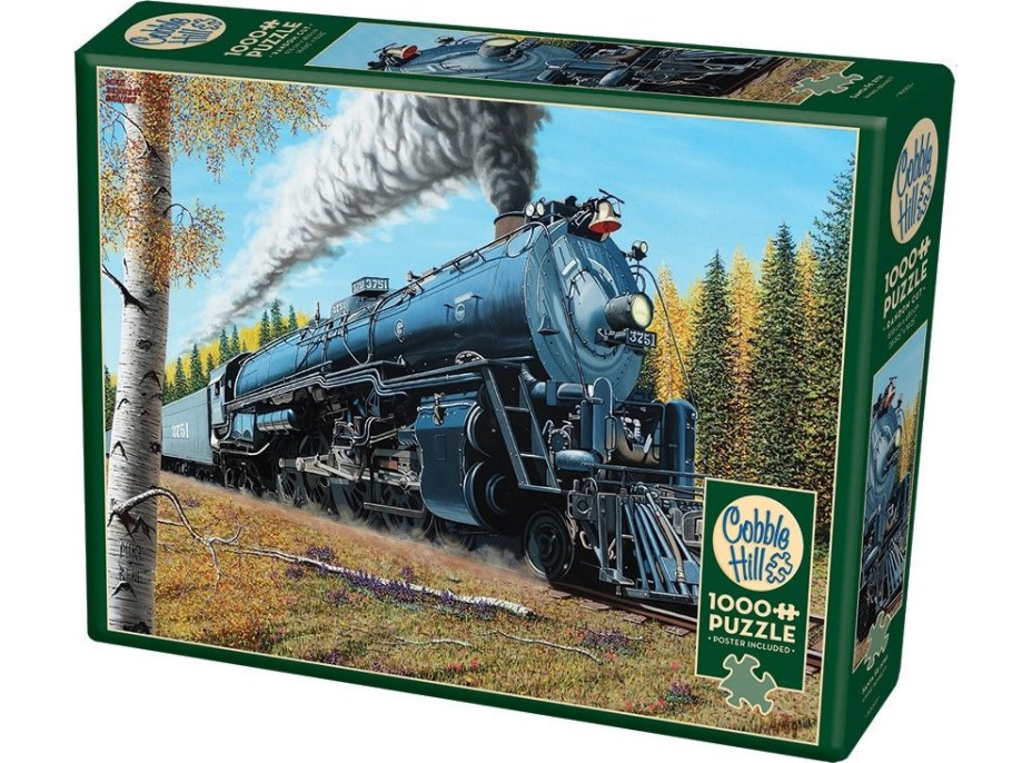 COBBLE HILL Puzzle Santa Fe 3751 1000 dielikov
