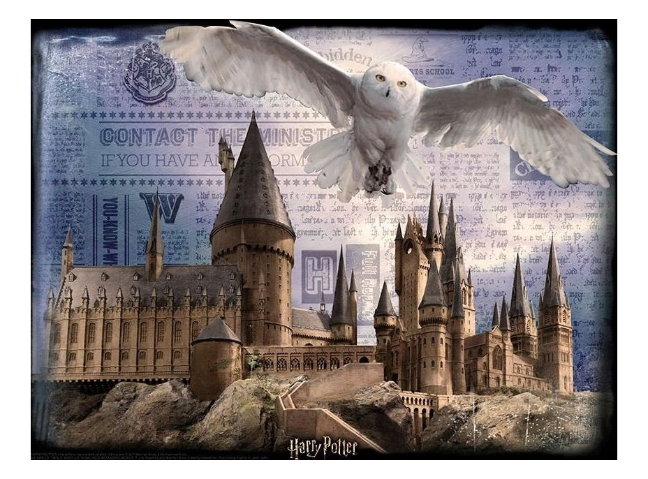 PRIME 3D Puzzle Harry Potter: Rokfortská škola čiar a kúziel 3D XL 300 dielikov