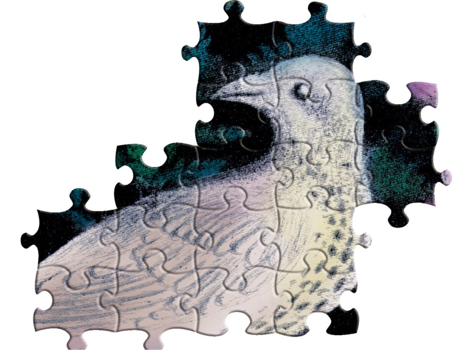 EEBOO Štvorcové puzzle Vtáky v papradí 1000 dielikov