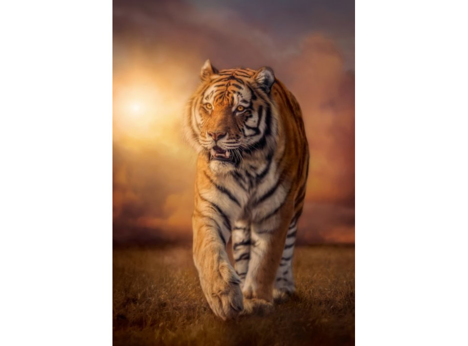 CLEMENTONI Puzzle Tiger 1500 dielikov
