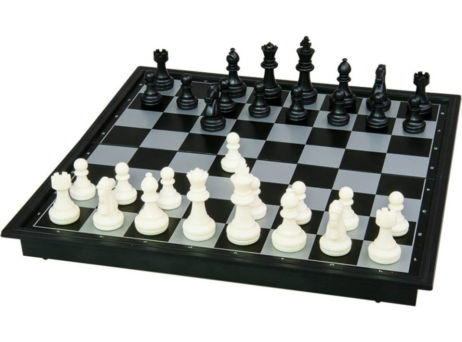 DINO Magnetický šach