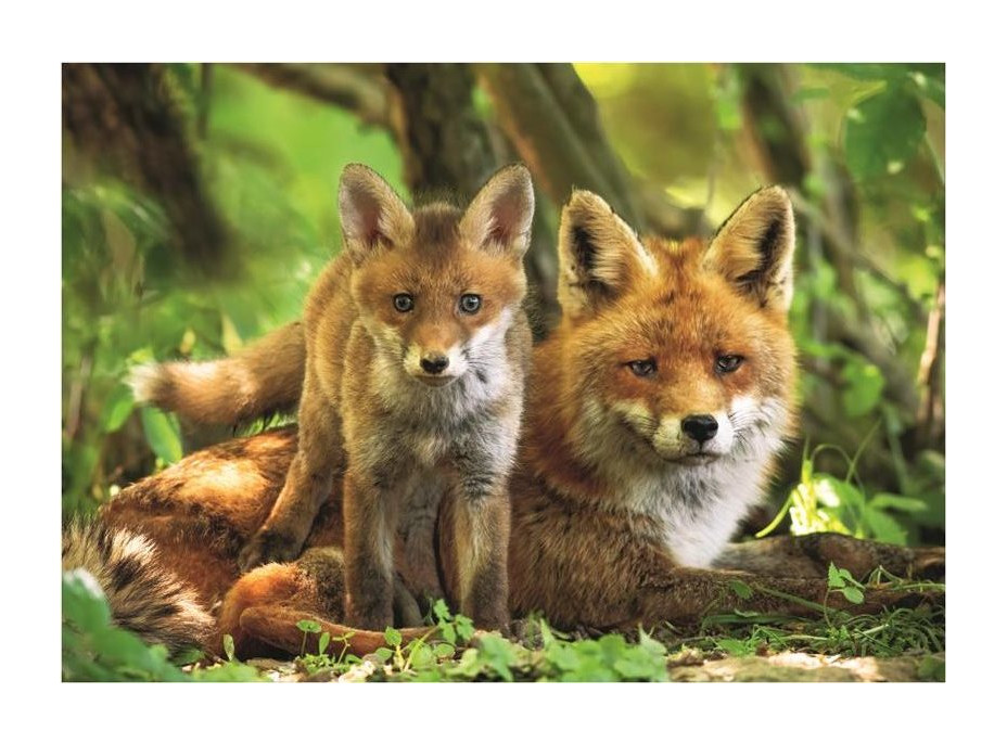 DINO Puzzle Líška s mláďatkom XL 300 dielikov