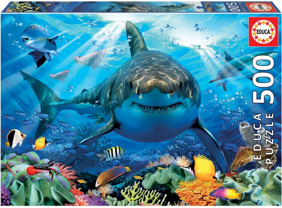 EDUCA Puzzle Biely žralok 500 dielikov