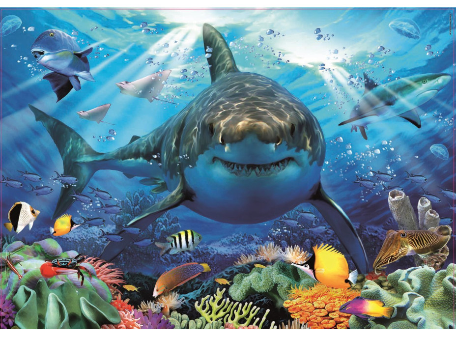 EDUCA Puzzle Biely žralok 500 dielikov