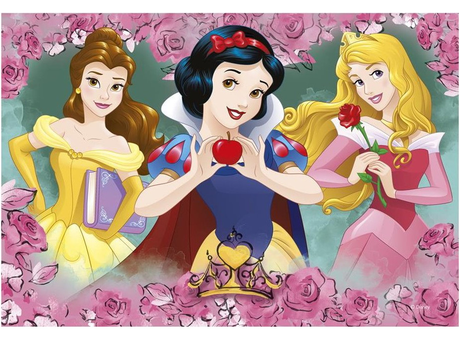 DINO Puzzle Disney princeznej 2x77 dielikov