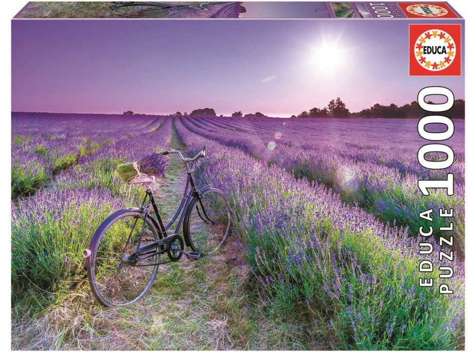EDUCA Puzzle Bicykel v levanduľovom poli 1000 dielikov