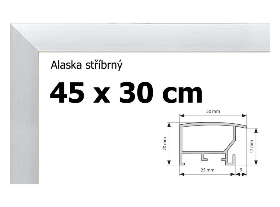 BFHM Alaska hliníkový rám 45x30cm - strieborný