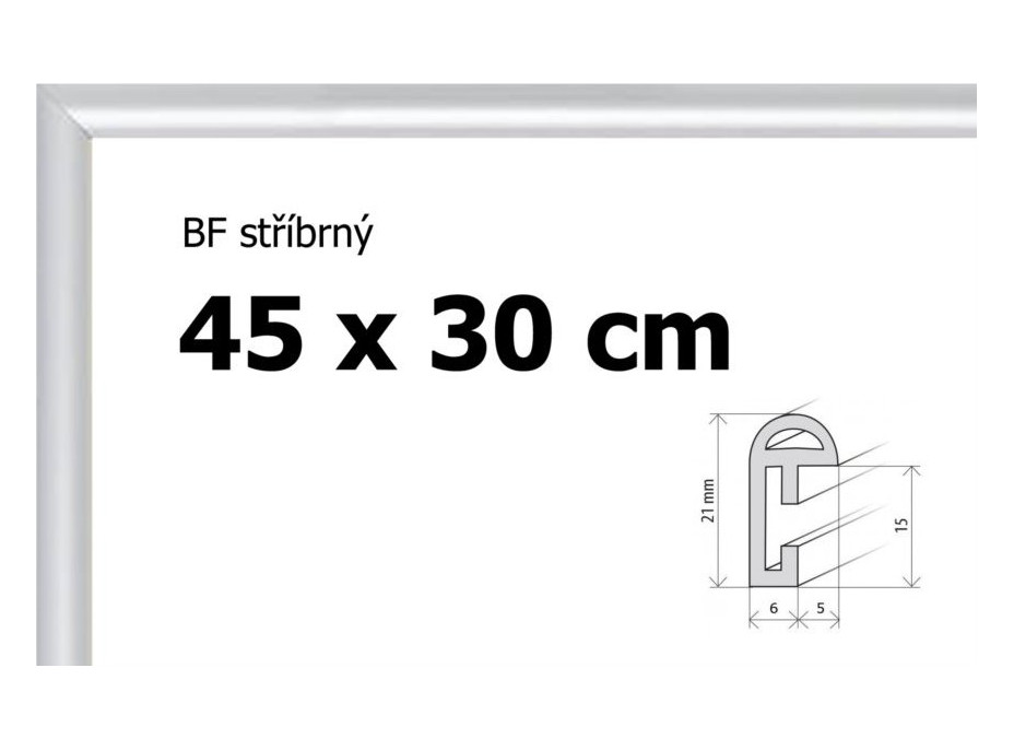 BFHM Plastový rám 45x30cm - strieborný