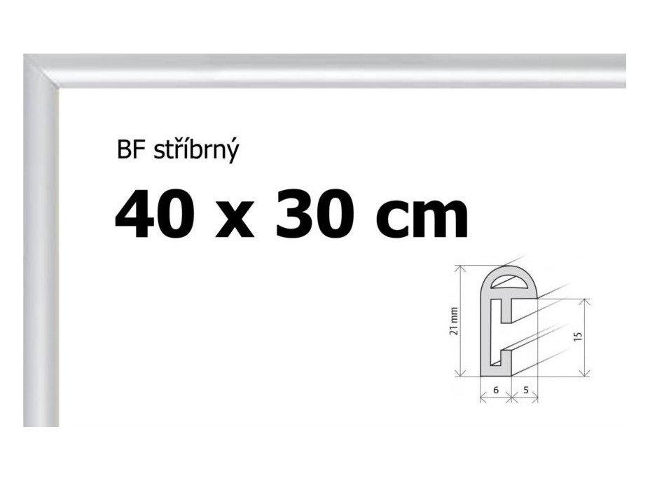 BFHM Plastový rám 40x30cm - strieborný