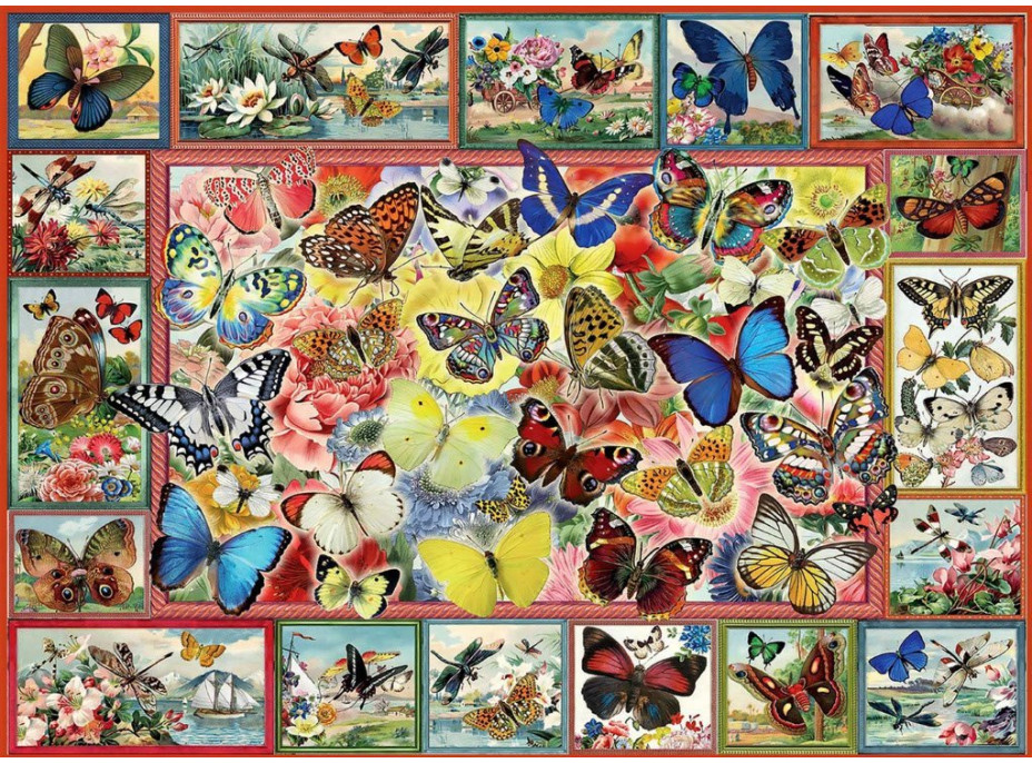 ANATOLIAN Puzzle Veľa motýľov 1000 dielikov
