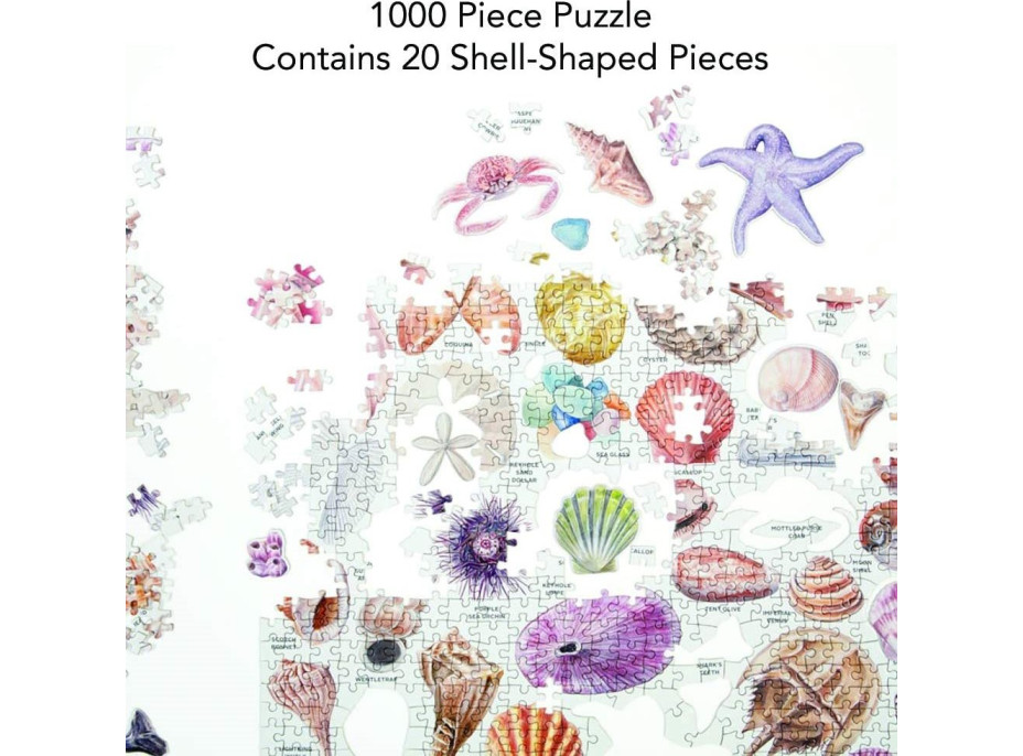 GALISON Puzzle Poklady z pláže 1000 dielikov