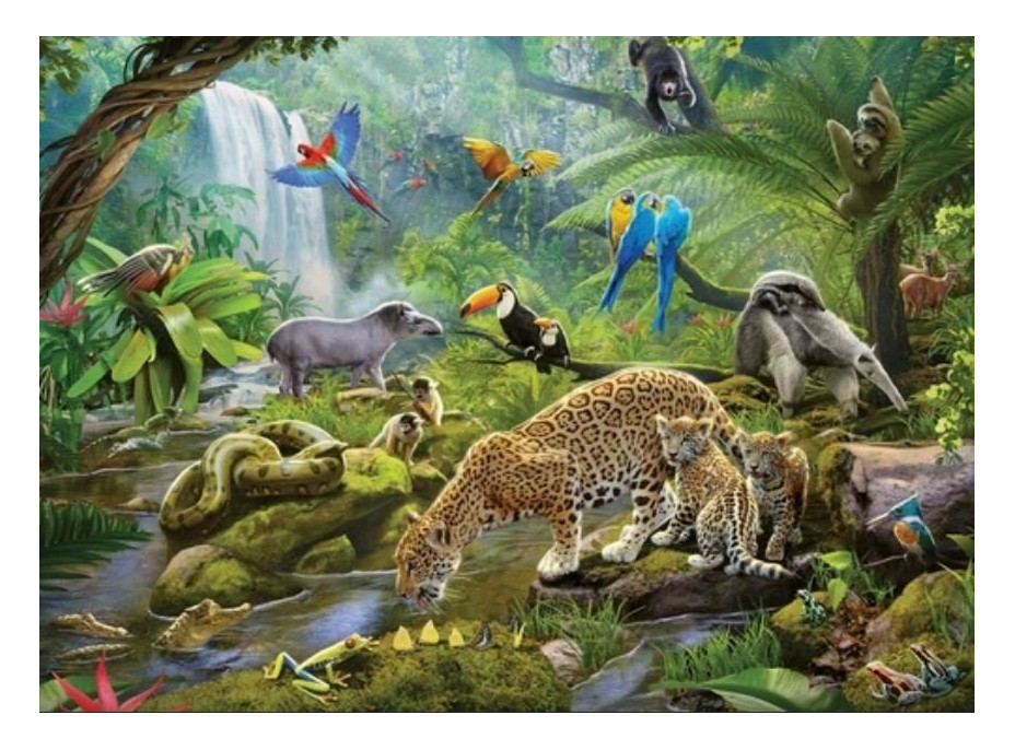 RAVENSBURGER Puzzle Zvieratá v dažďovom pralese 60 dielikov