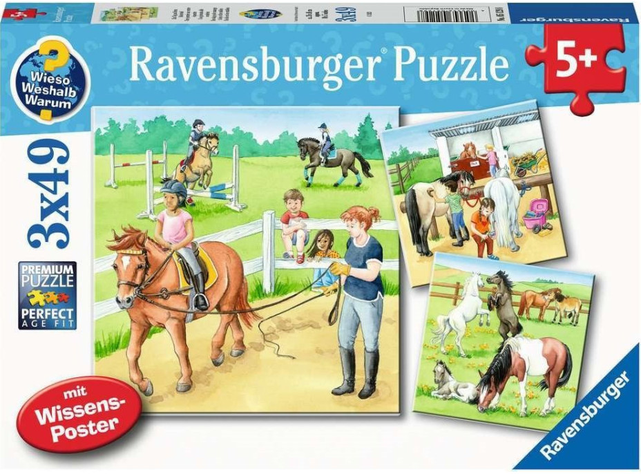RAVENSBURGER Puzzle Deň u koní 3x49 dielikov