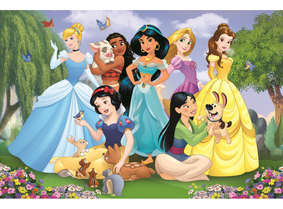 TREFL Puzzle Super Shape XL Disney princeznej: V záhrade 104 dielikov