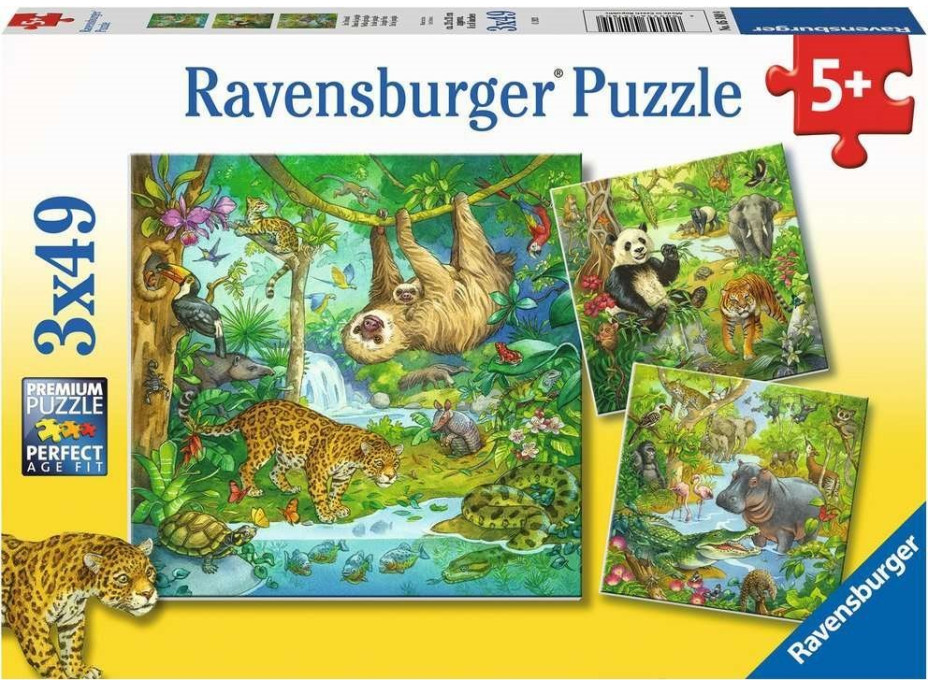 RAVENSBURGER Puzzle Zvieratá v džungli 3x49 dielikov