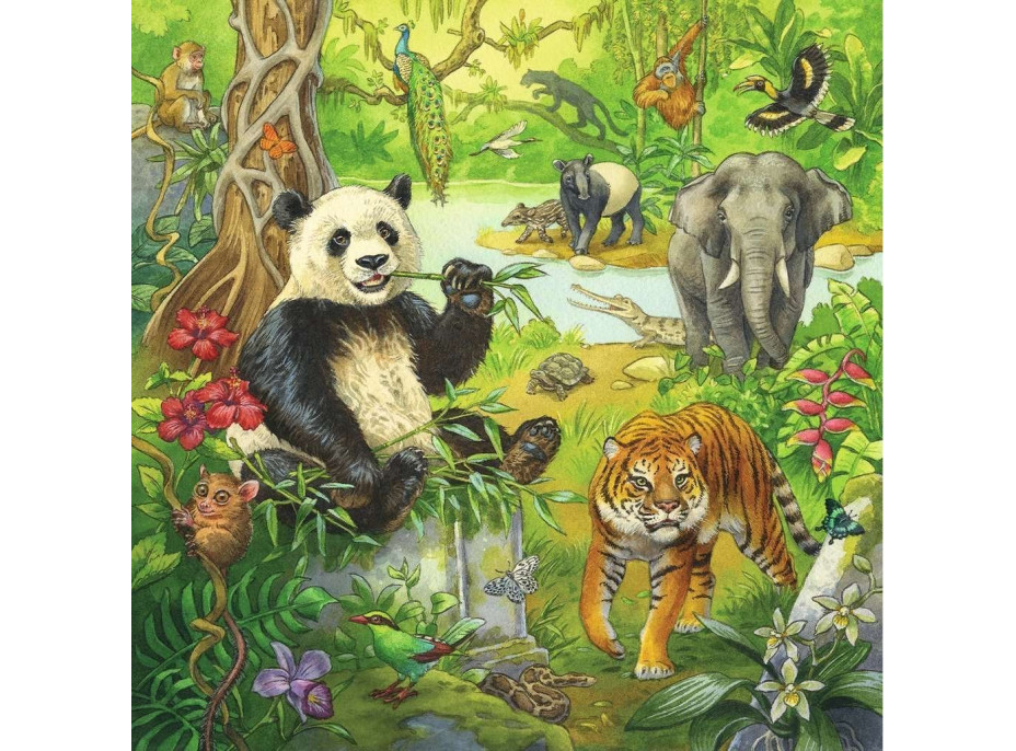 RAVENSBURGER Puzzle Zvieratá v džungli 3x49 dielikov