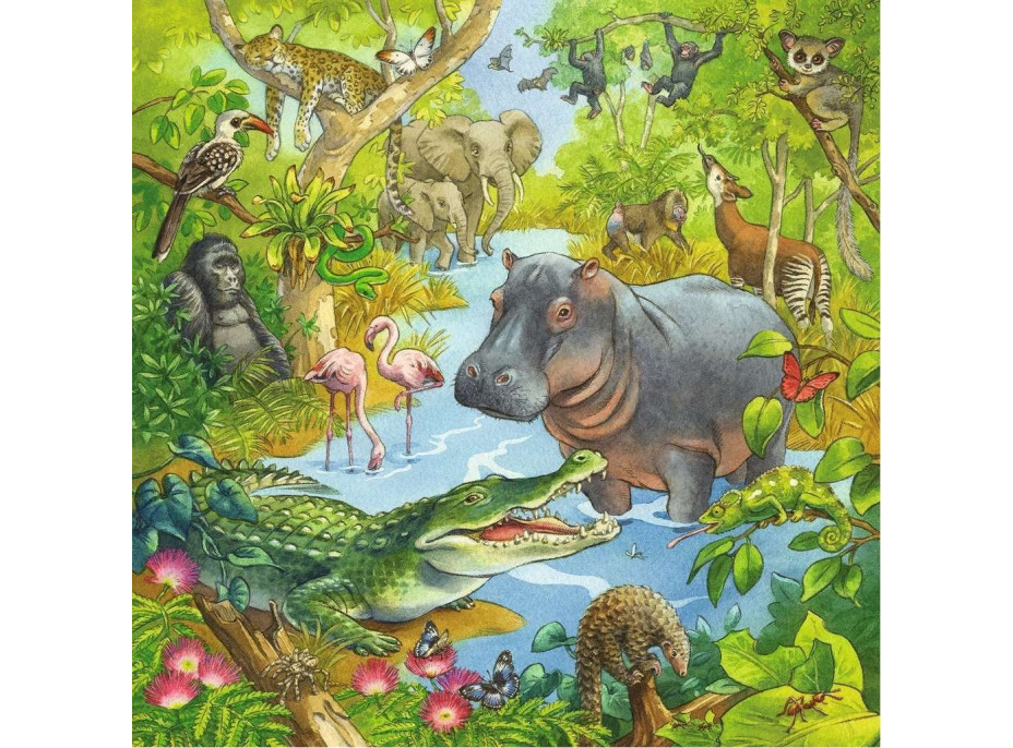 RAVENSBURGER Puzzle Zvieratá v džungli 3x49 dielikov