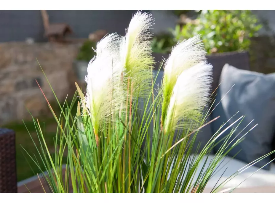 Umelá tráva pampová - 90 cm - ecru biela