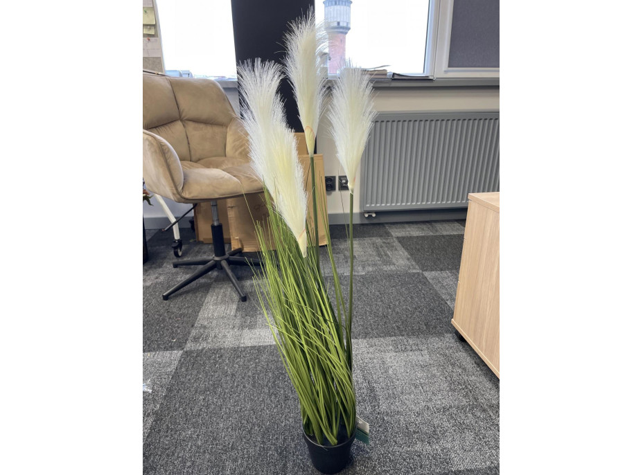 Umelá tráva pampová - 90 cm - ecru biela