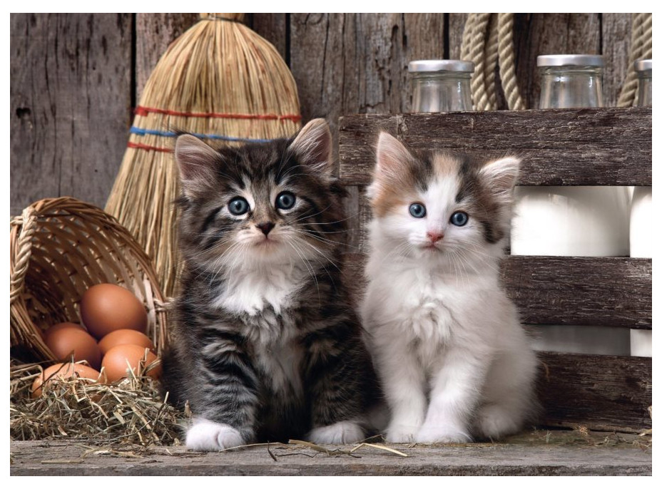 CLEMENTONI Puzzle Roztomilé mačiatka 1000 dielikov