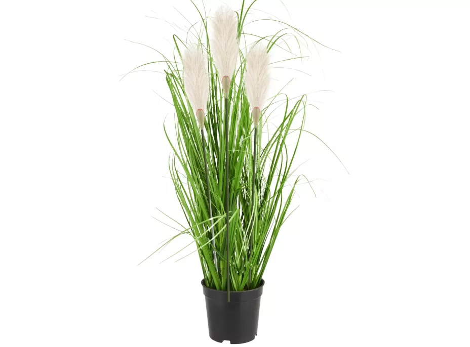 Umelá tráva pampová - 70 cm - ecru biela