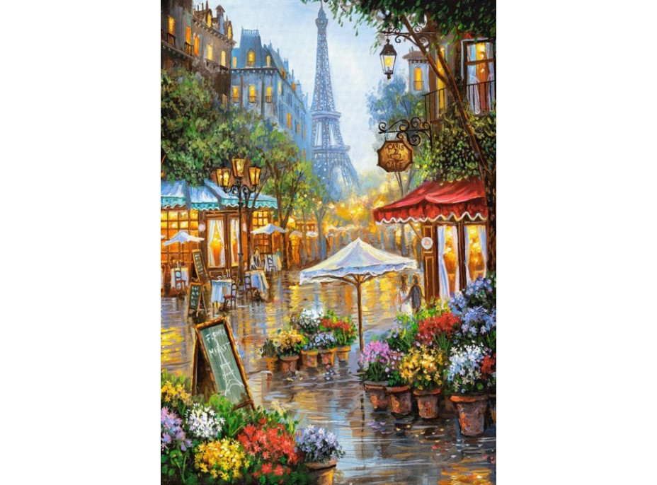 CASTORLAND Puzzle Jarné kvety v Paríži 1000 dielikov