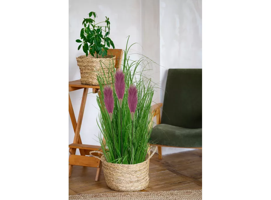 Umelá tráva pampová - 70 cm - fialová