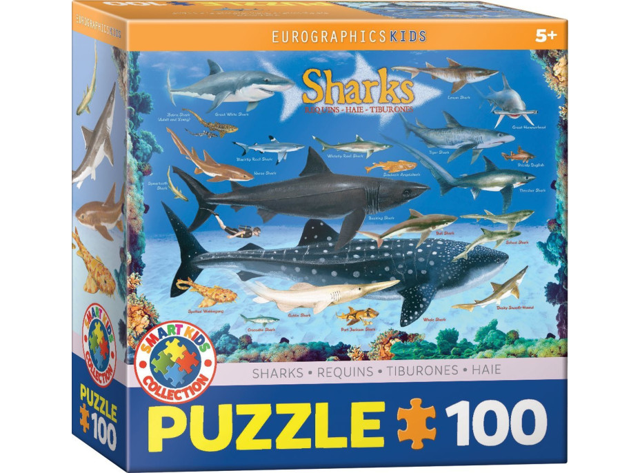 EUROGRAPHICS Puzzle Žraloky 100 dielikov