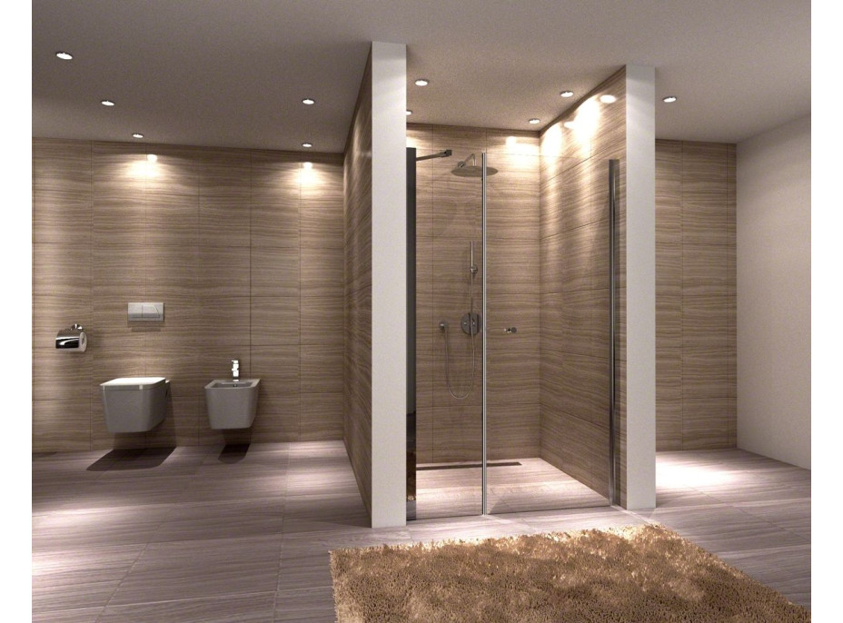 Sprchové dvere MULTI SPACE 110 cm