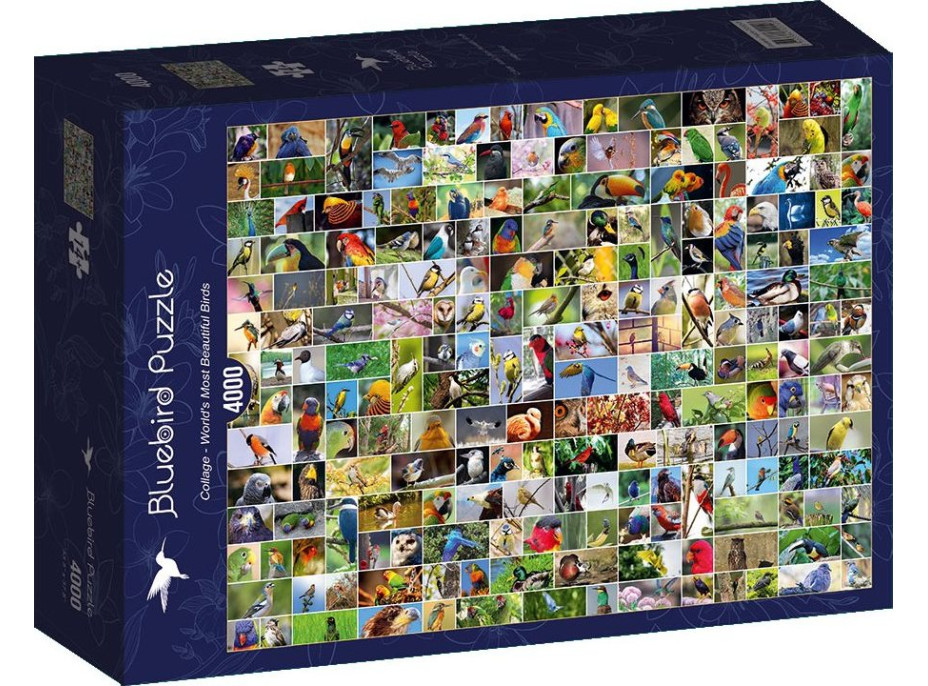 BLUEBIRD Puzzle Koláž: Najkrajšie vtáky sveta 4000 dielikov